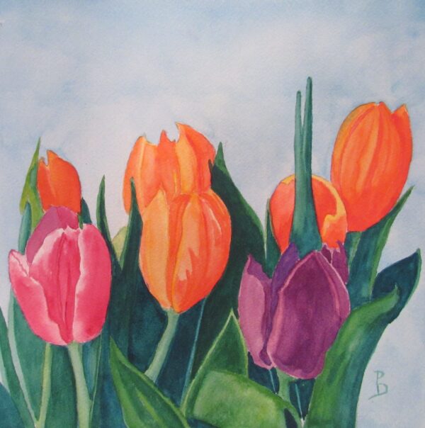 Spring Tulips