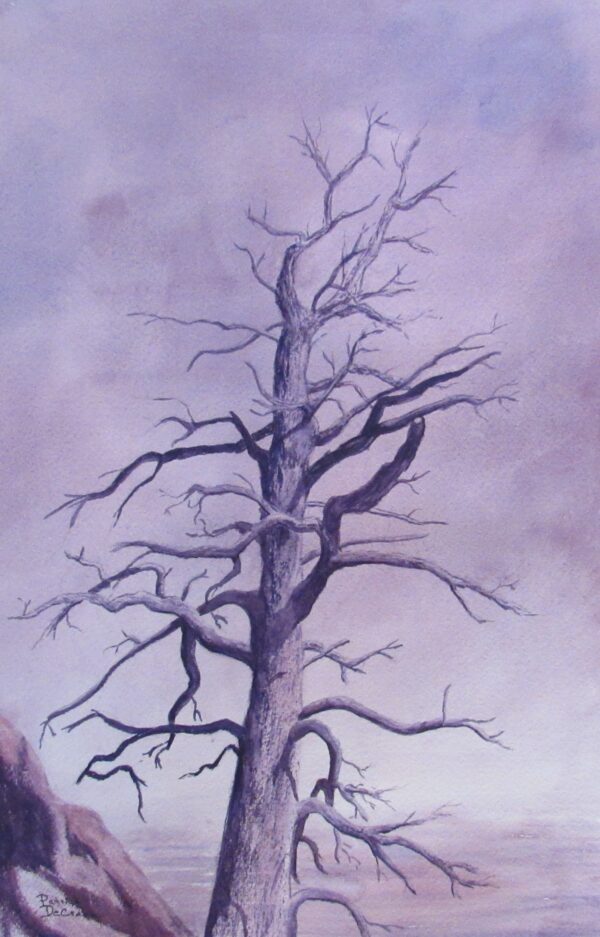 The Lone Sentinel